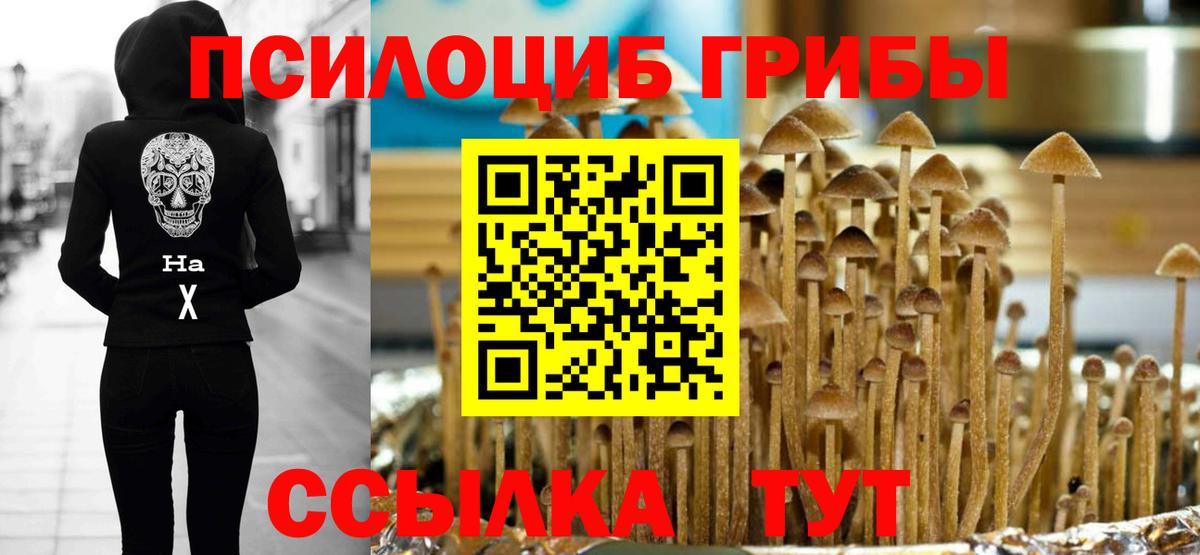 Альфа ПВП Добрянка